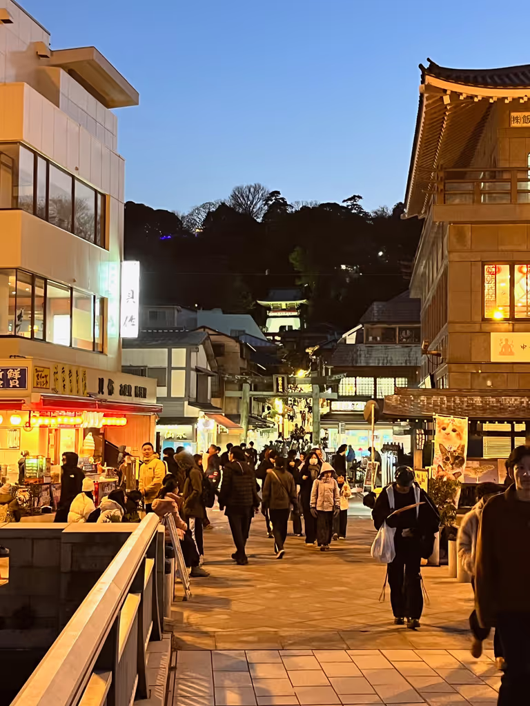 Kanagawa Private Tour - Enoshima