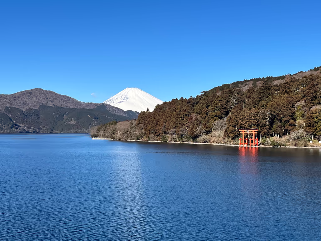 Kanagawa Private Tour - Hakone