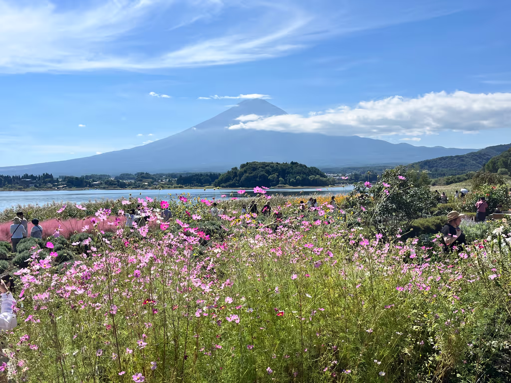 Kanagawa Private Tour - Oishi Park 