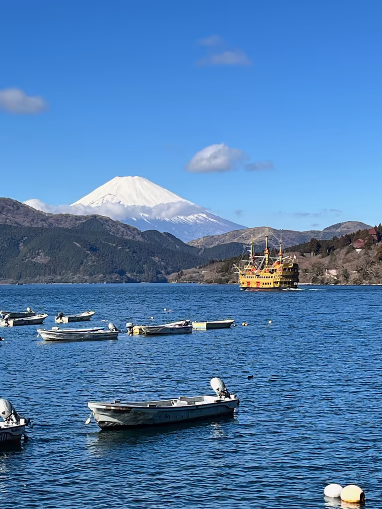 Kanagawa Private Tour - Hakone