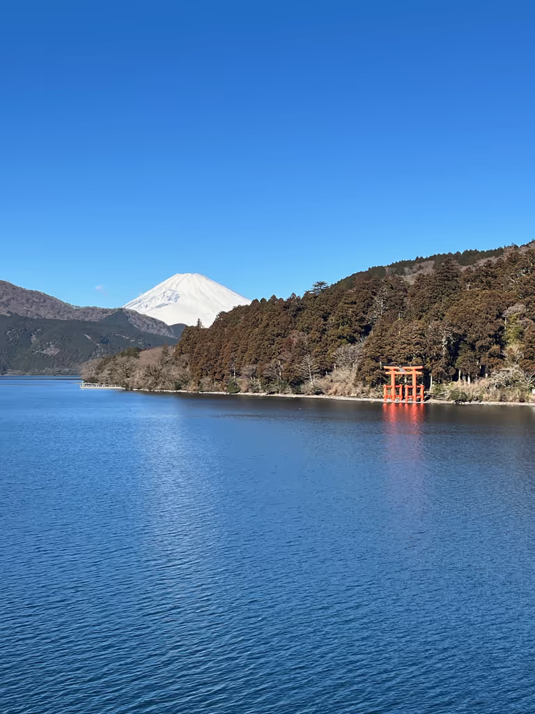 Kanagawa Private Tour - Hakone