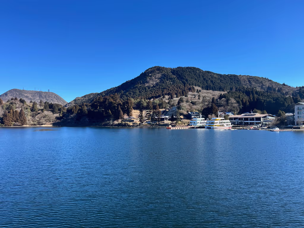 Kanagawa Private Tour - Hakone