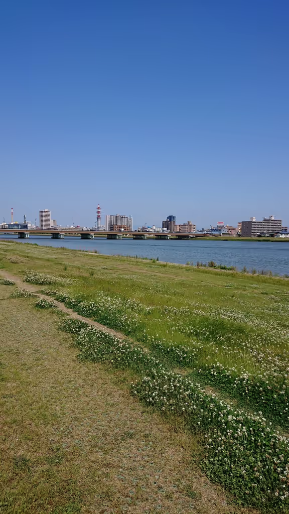 Niigata Private Tour - Shinano Riverbank view
