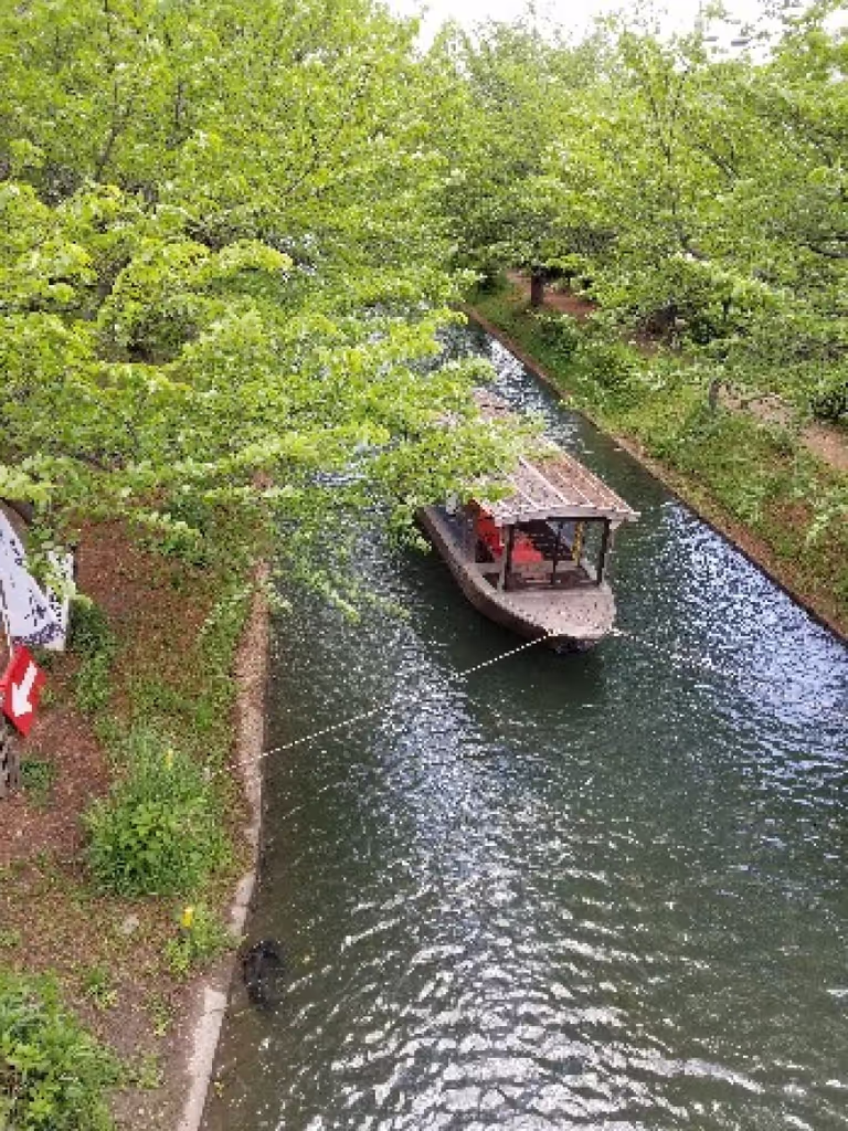 Kyoto Private Tour - Fushimi area is famous for Sake Brewing.
We can visit Sake Museum and try Sake tasting!