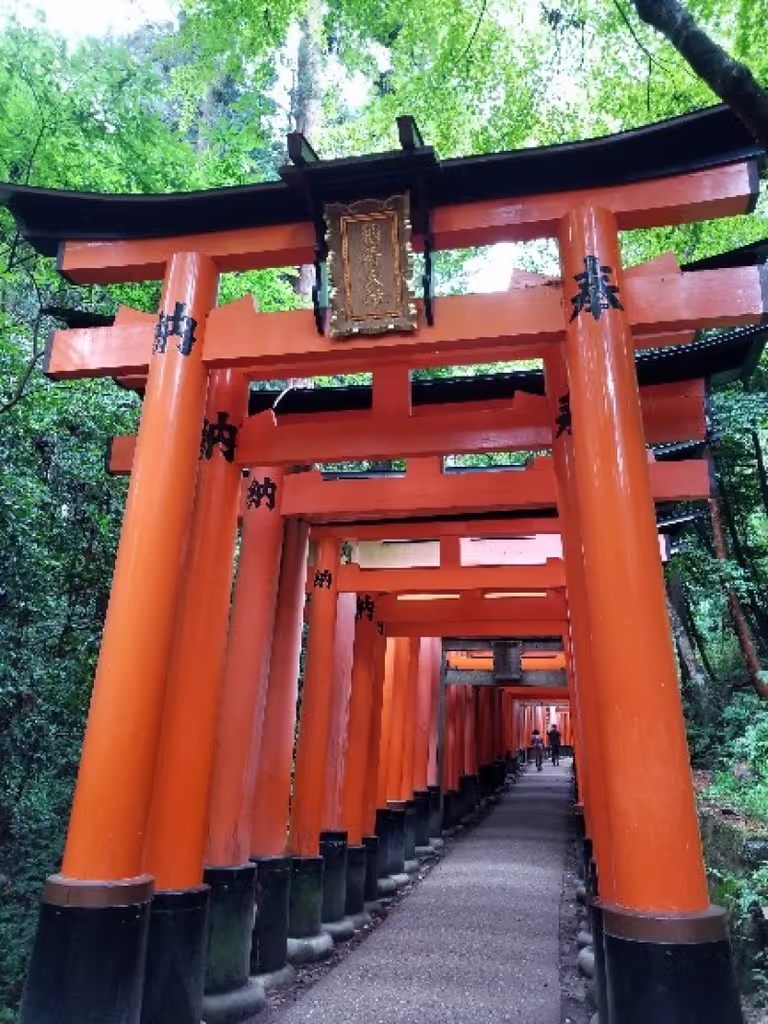 Kyoto Private Tour - Let's go to Fushimi Inari Taisha Shrine, the most popular destination for tourists!
