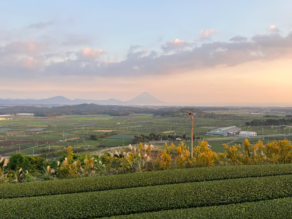 Kagoshima Private Tour - Chiran Tea Fieldds