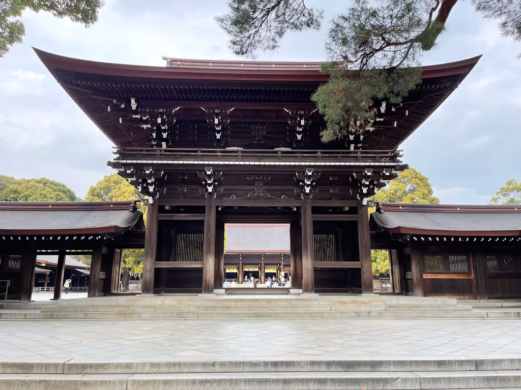 Chiba Private Tour - Meiji Jingu Shrine Harajuku