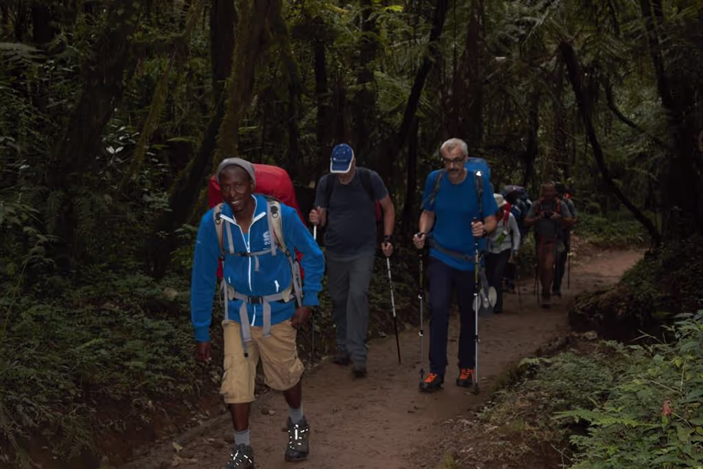 Kilimanjaro Private Tour - Kilimanjaro Climbing Local Guide