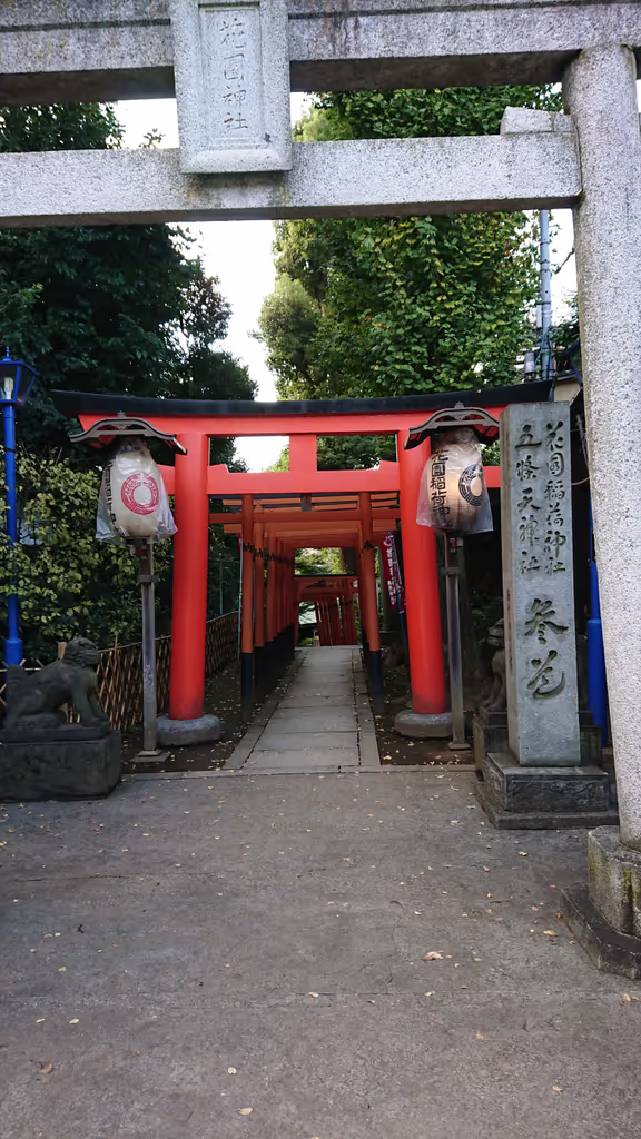 Tokyo Private Tour - Torii gate