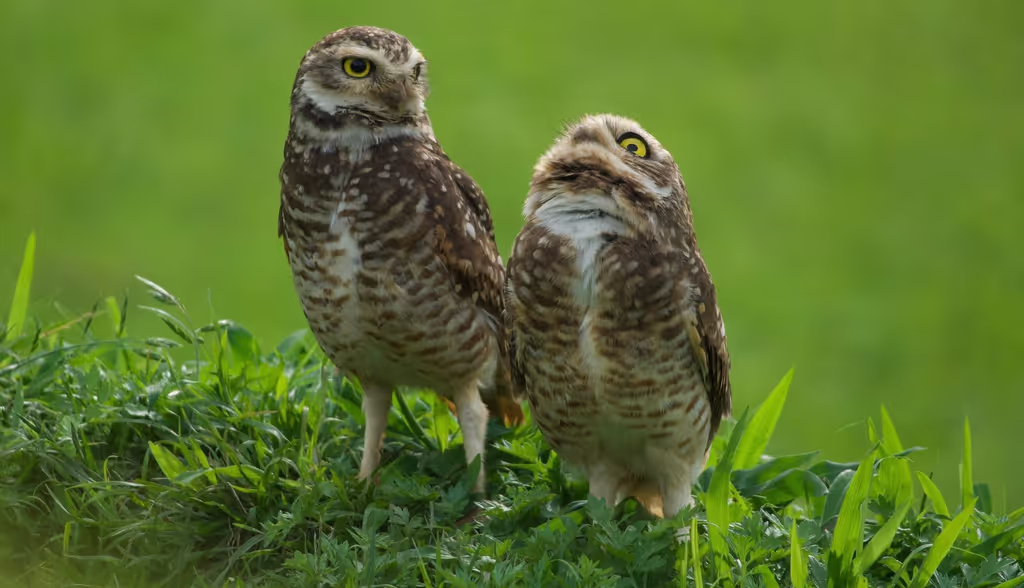 Pichincha Private Tour - 