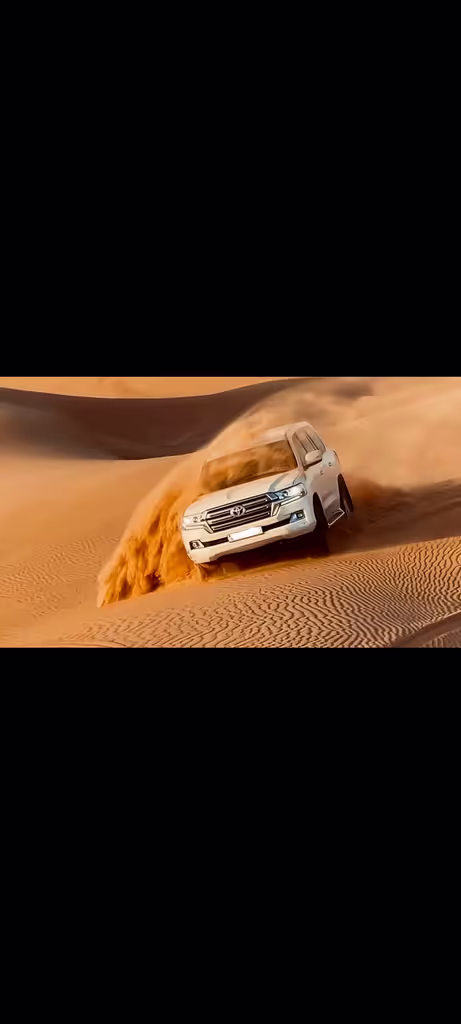 Dubai Private Tour - Desert Safari 