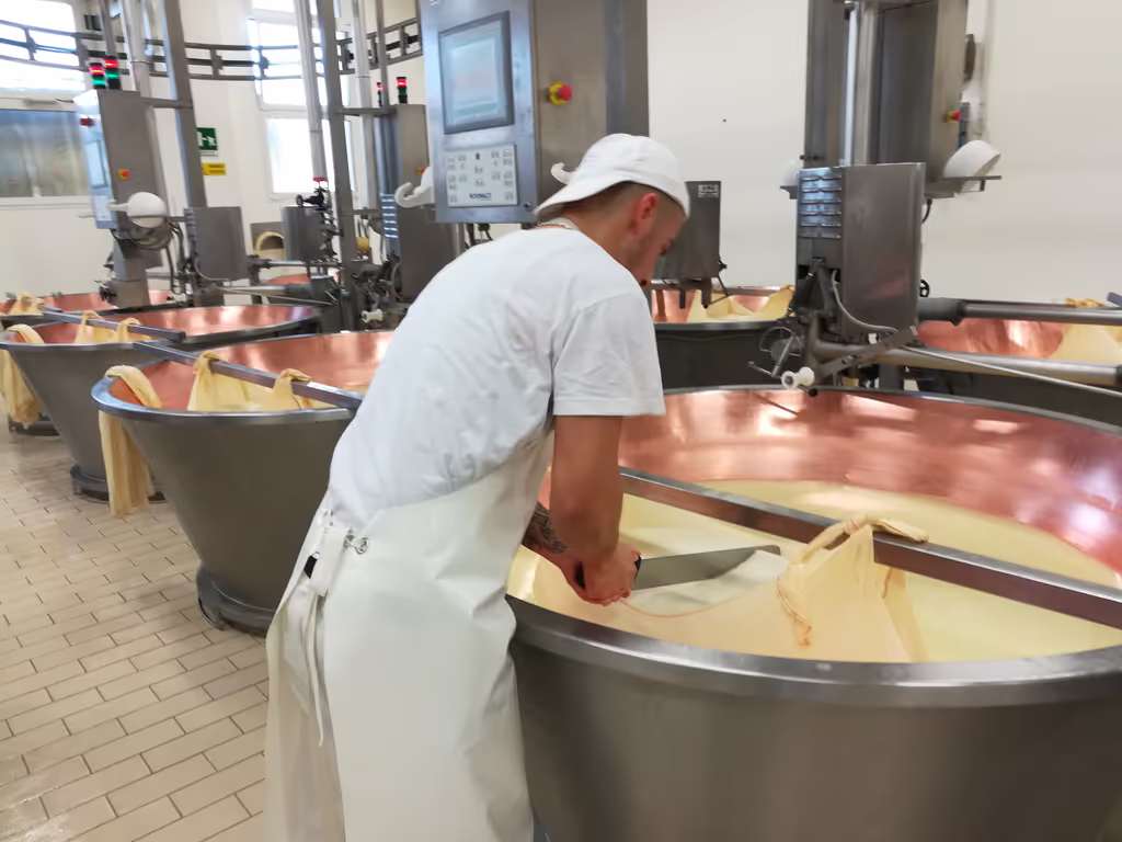 Emilia-Romagna Private Tour - Cheese factory tour