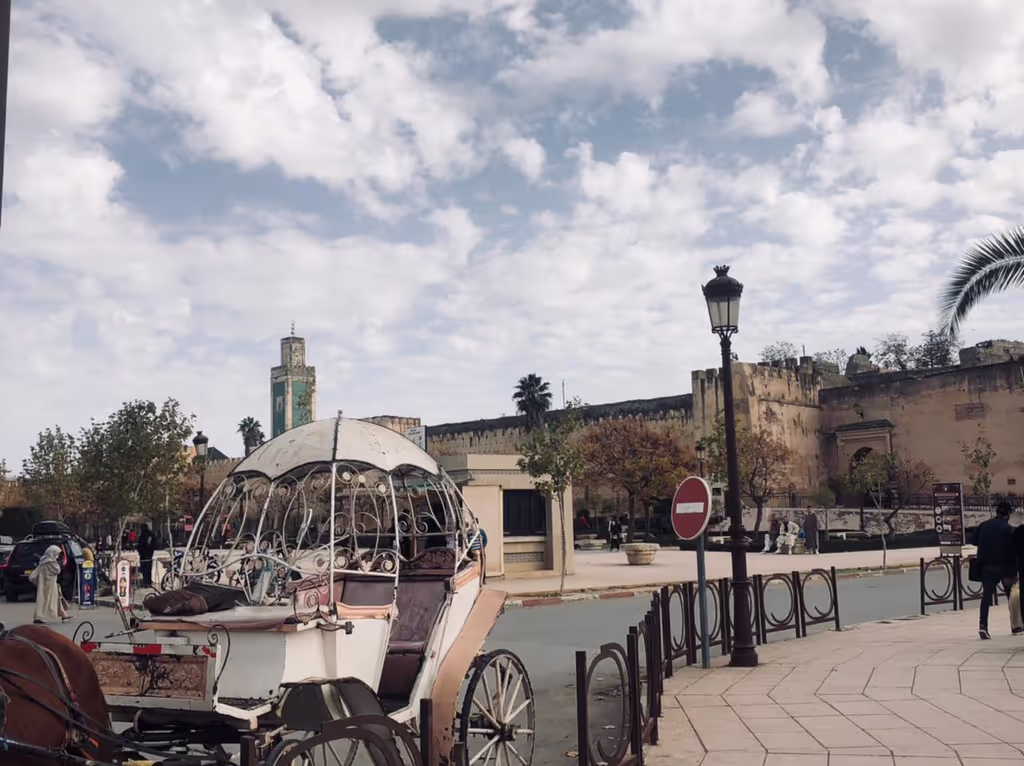Meknes Private Tour - Place lalla ouda 