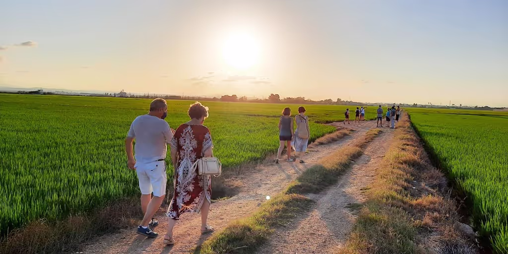 Valencia Private Tour - Albufera rice fields