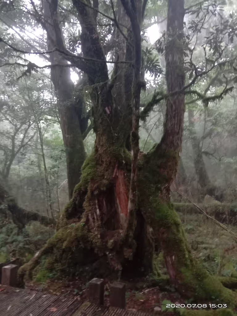 Taipei Private Tour - Taiping Shan National Forest Park