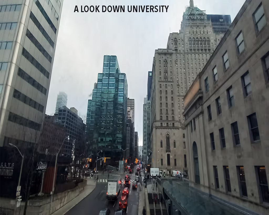Ontario Private Tour - A LOOK DOWN UNIVERSITY 