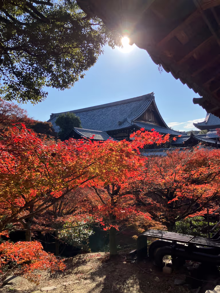 Osaka Private Tour - Autumn in Kyoto 