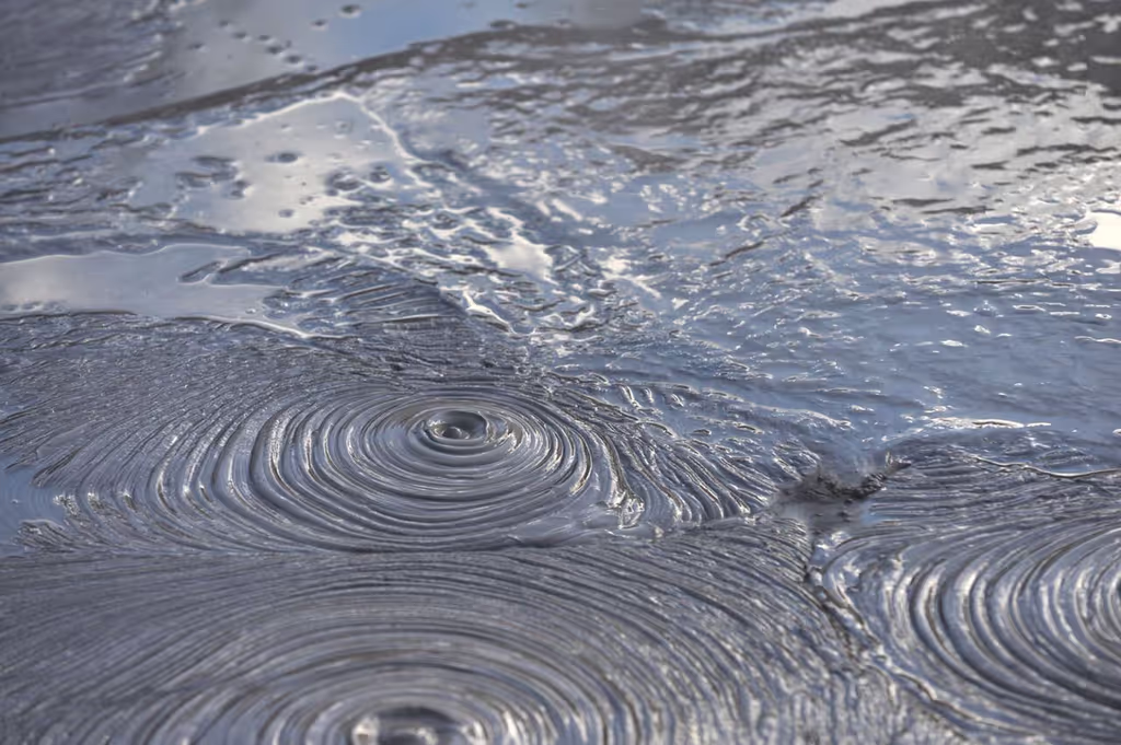 Bay of Plenty Private Tour - Te Puia: Boiling Mud