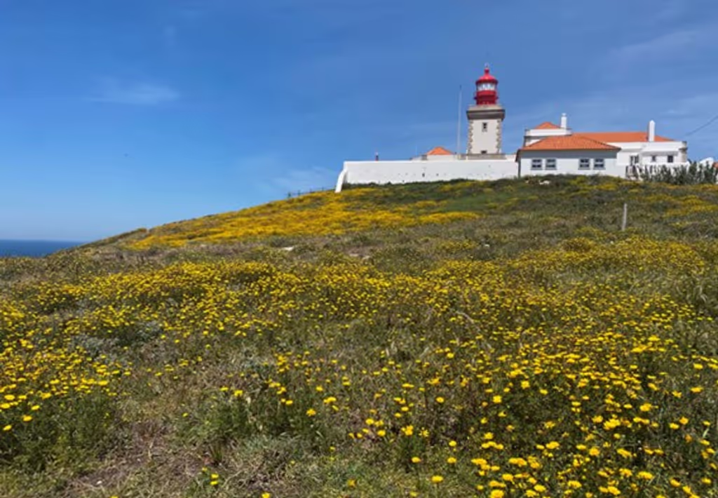Lisbon Private Tour - Cabo da Roca