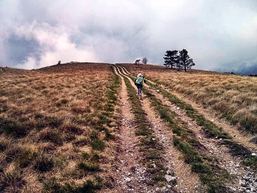 Istria Private Tour - Hiking Istria