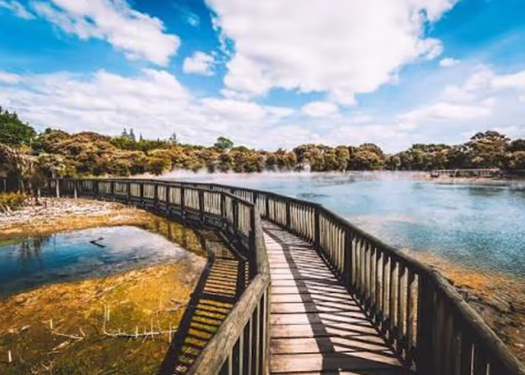 Tauranga Private Tour - 
