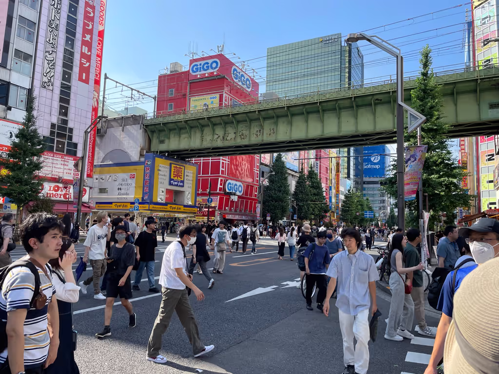 Tokyo Private Tour - 