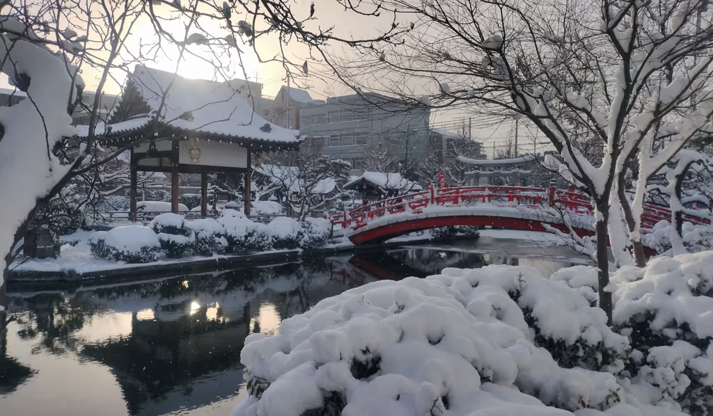 Kyoto Private Tour - Shinsenen Garden under the snow.