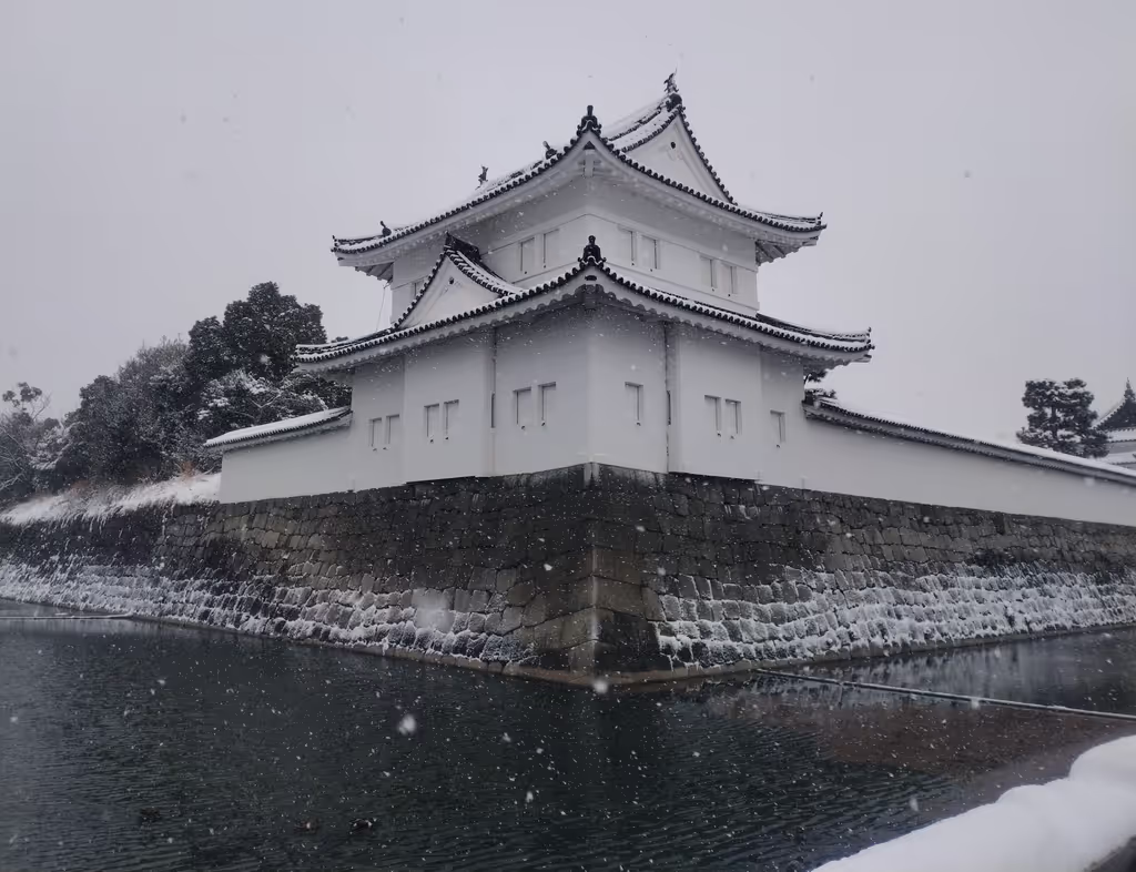 Kyoto Private Tour - Snowed walls of Nijo Castle