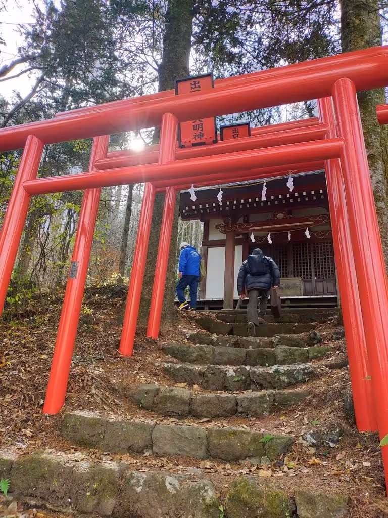 Kanagawa Private Tour - Red Torii (2022-11-17)