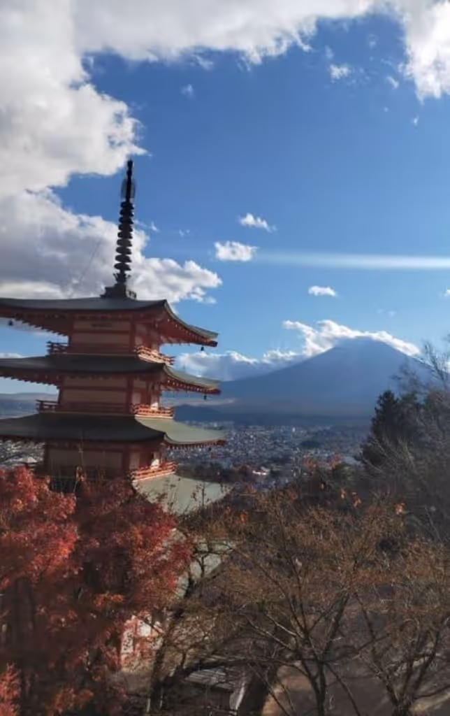 Kanagawa Private Tour - Mt.Fuji & Five-story Pagoda from Chureitoh (2022-11-16)