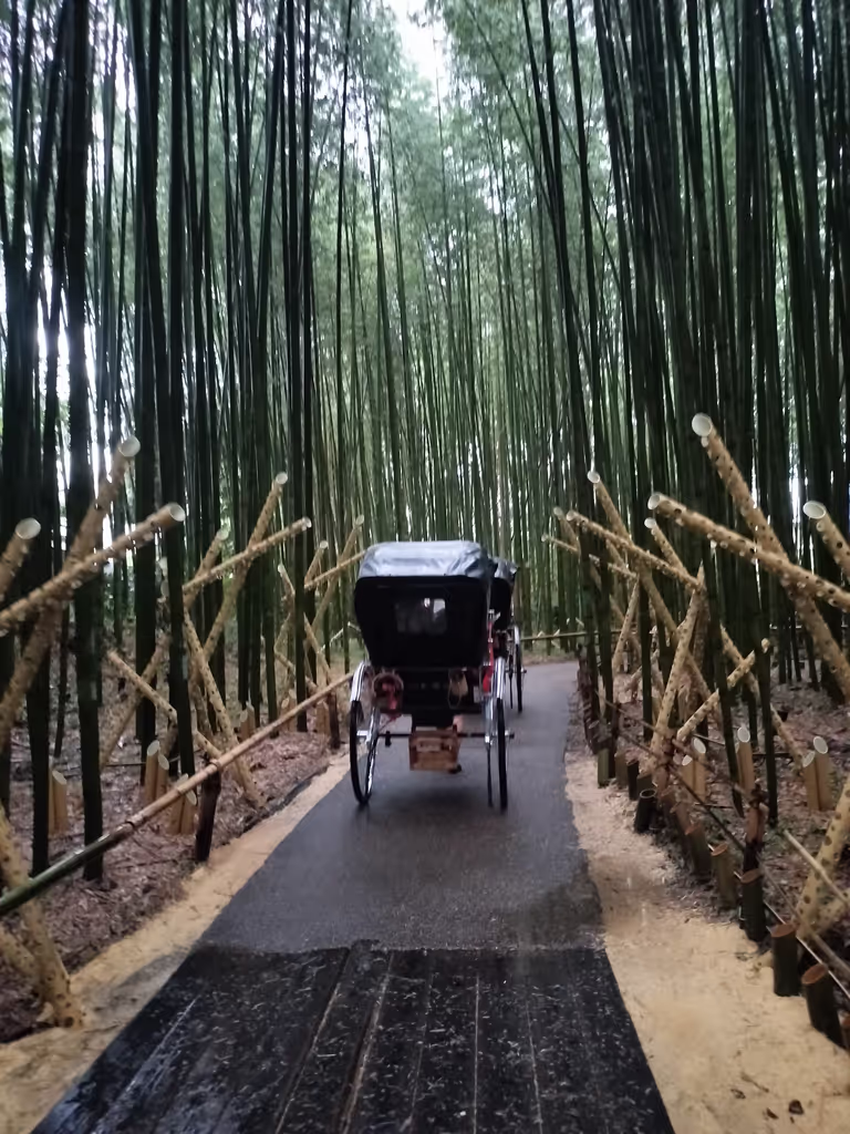 Kyoto Private Tour - 