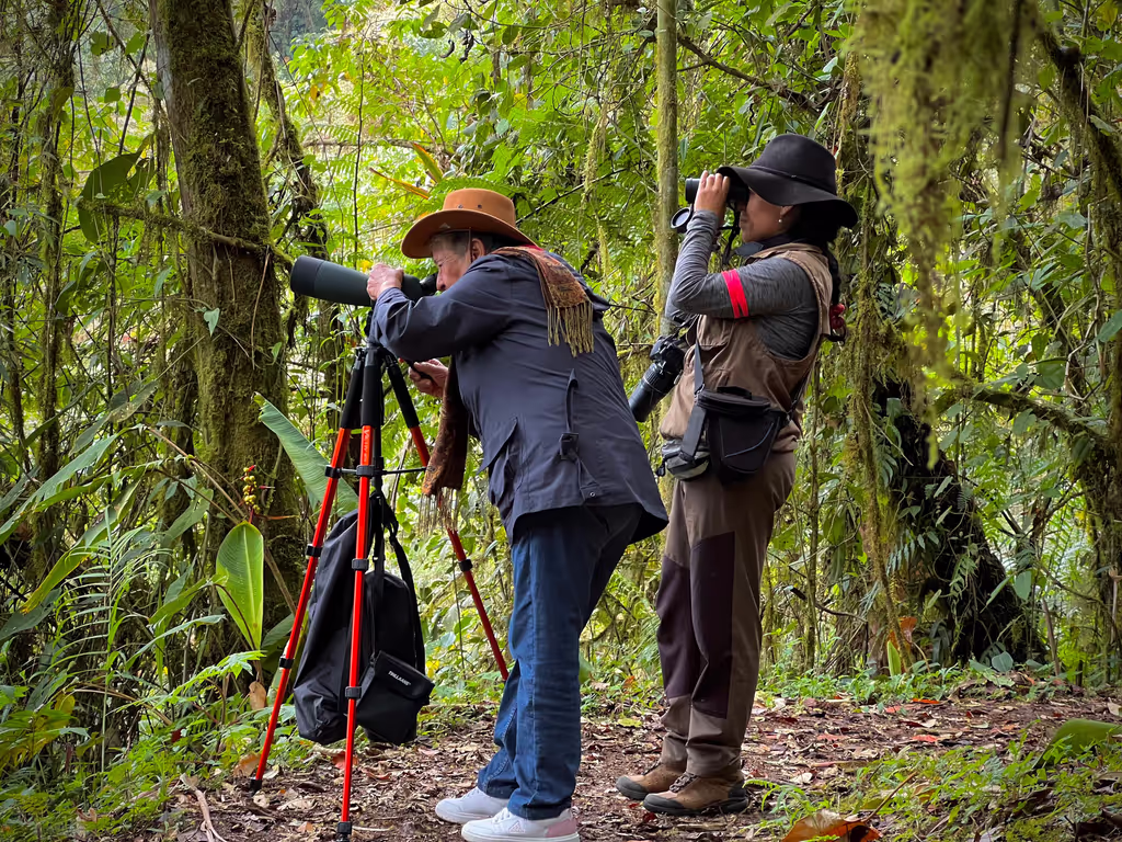 Pichincha Private Tour - Birdwatching Ecuador
