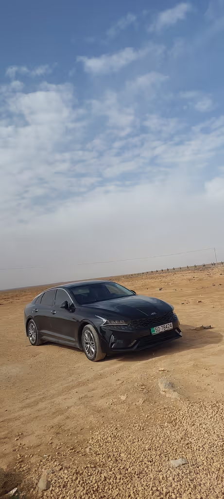 Amman Private Tour - Modren car