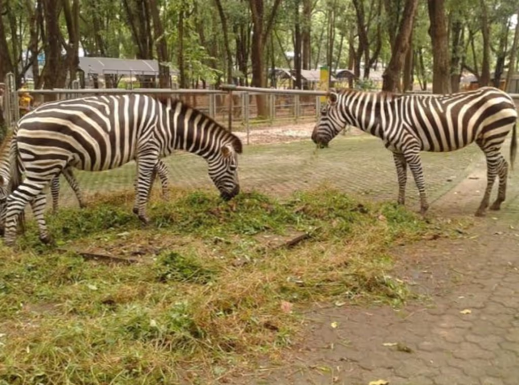 Jakarta Private Tour - 