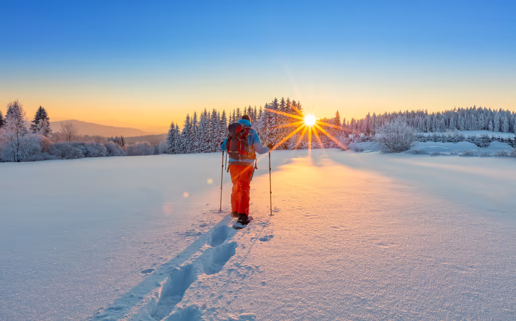 British Columbia Private Tour - Snowshoeing in Vancouver's Winter Wonderland