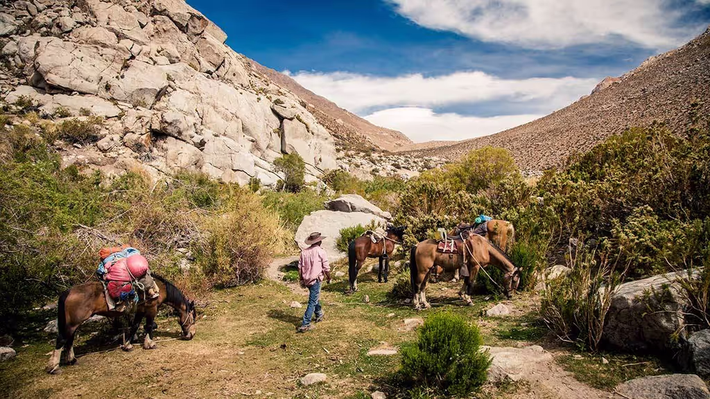 Santiago Private Tour - Our horses resting from a hourseback ridding day