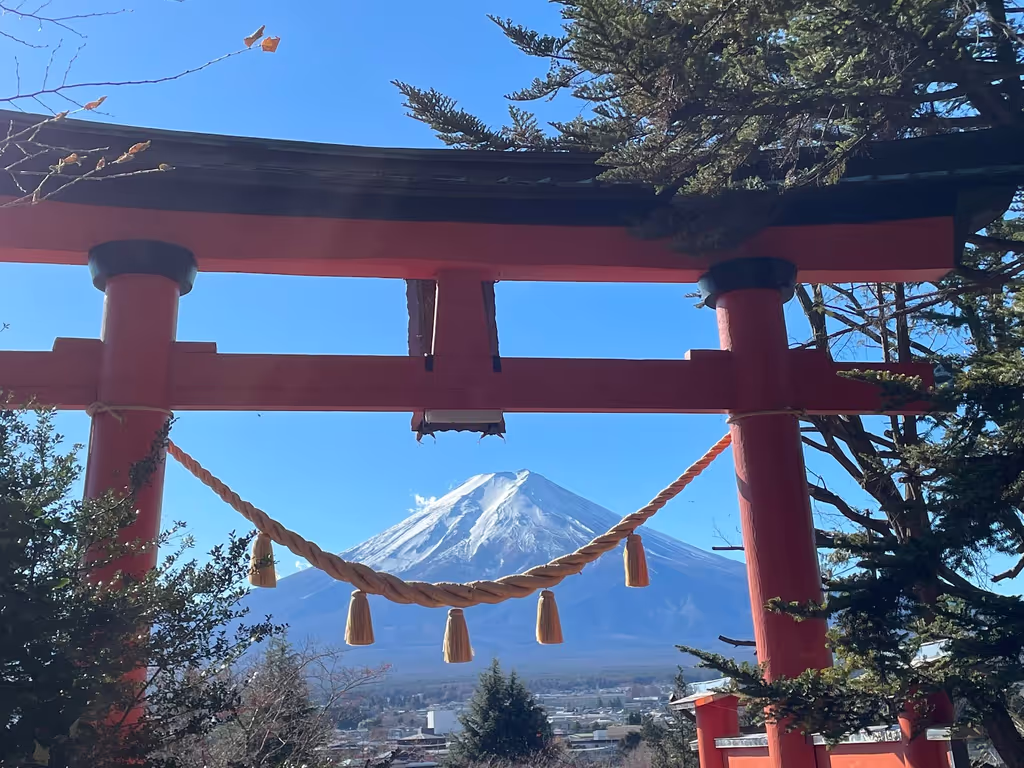 Kanagawa Private Tour - Lake Kawaguchi: Mt. Fuji under the Torii Gate