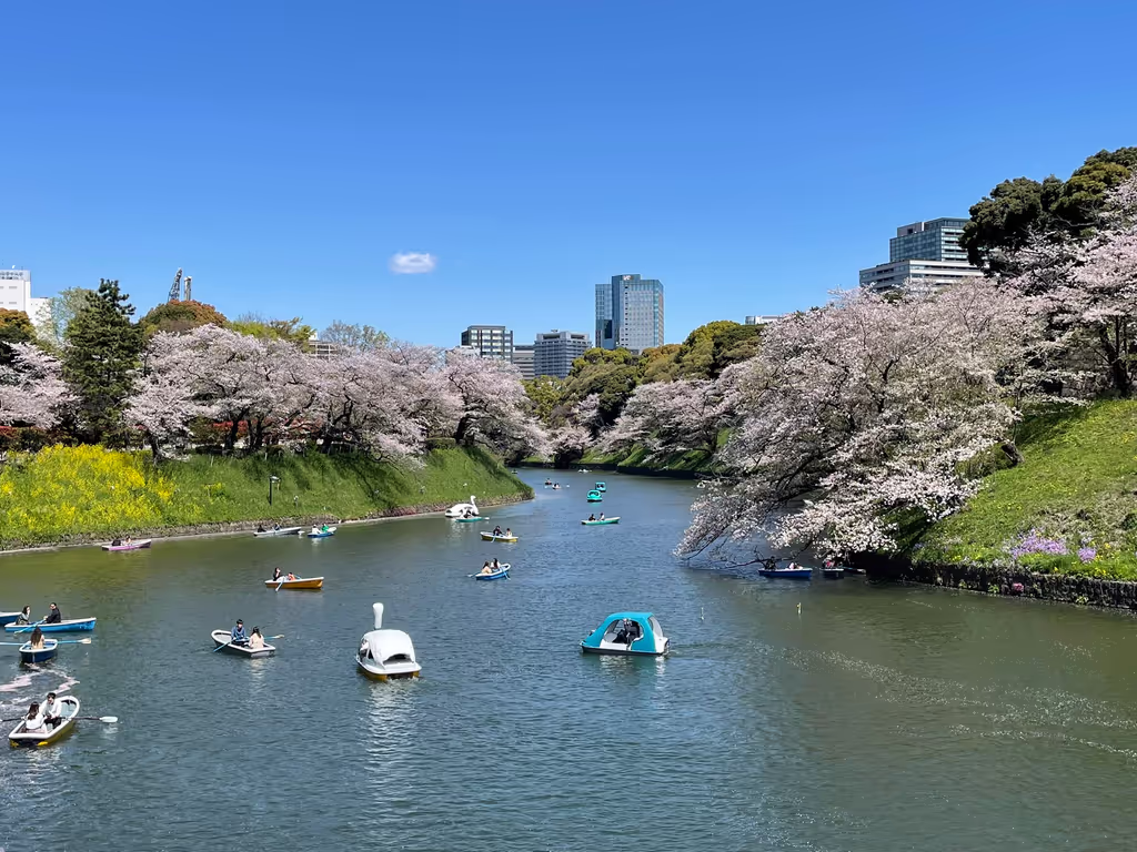 Kanagawa Private Tour - Tokyo: Chidorigafuchi Abyss
