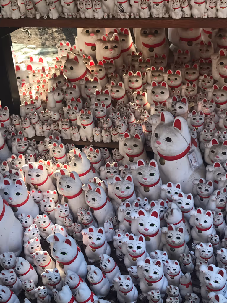 Saitama Private Tour - Beckoning cats in Gotokuji Temple @Tokyo