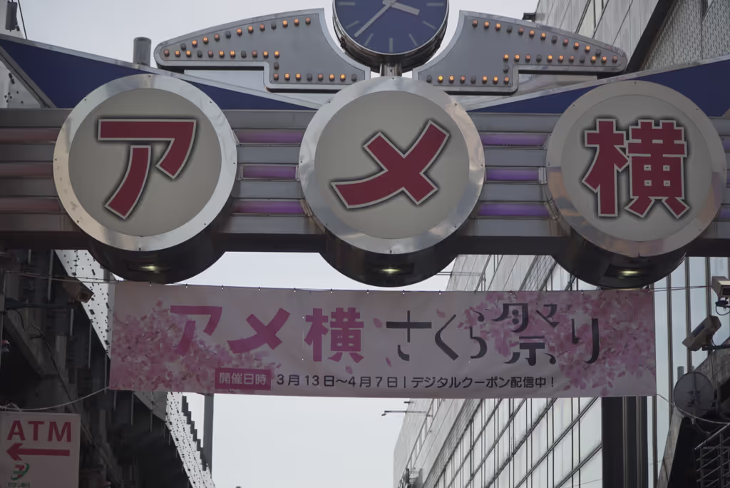 Tokyo Private Tour - 