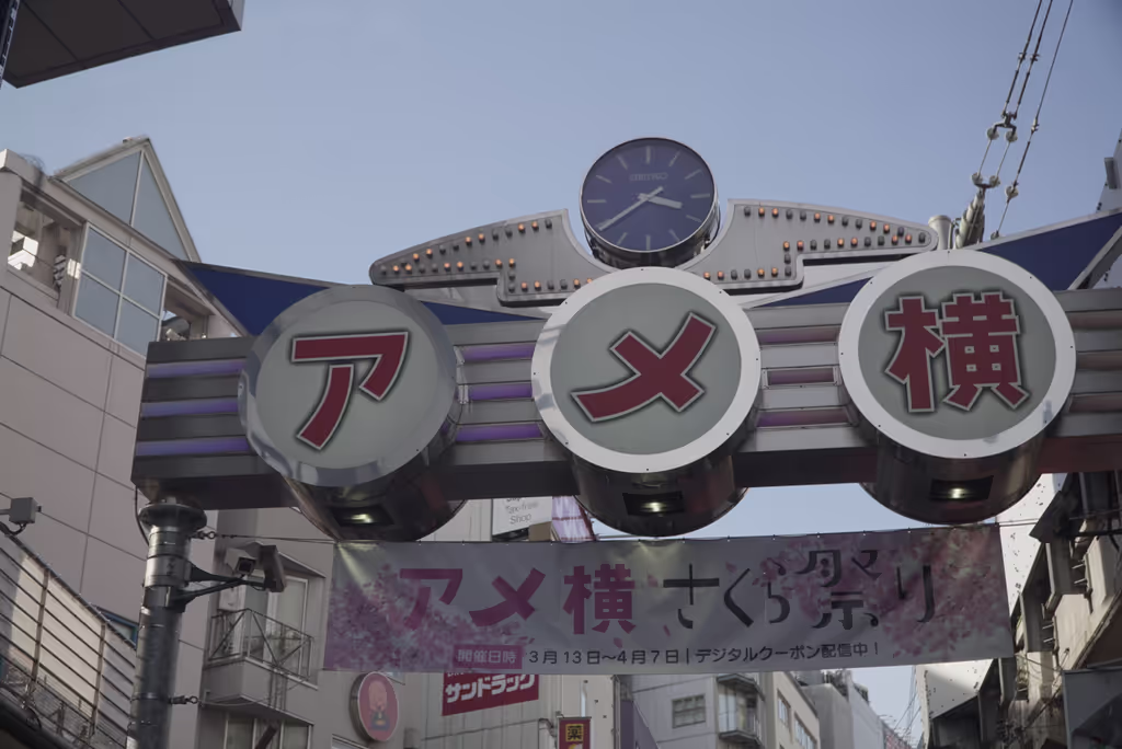 Tokyo Private Tour - 