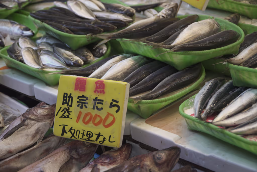 Tokyo Private Tour - 