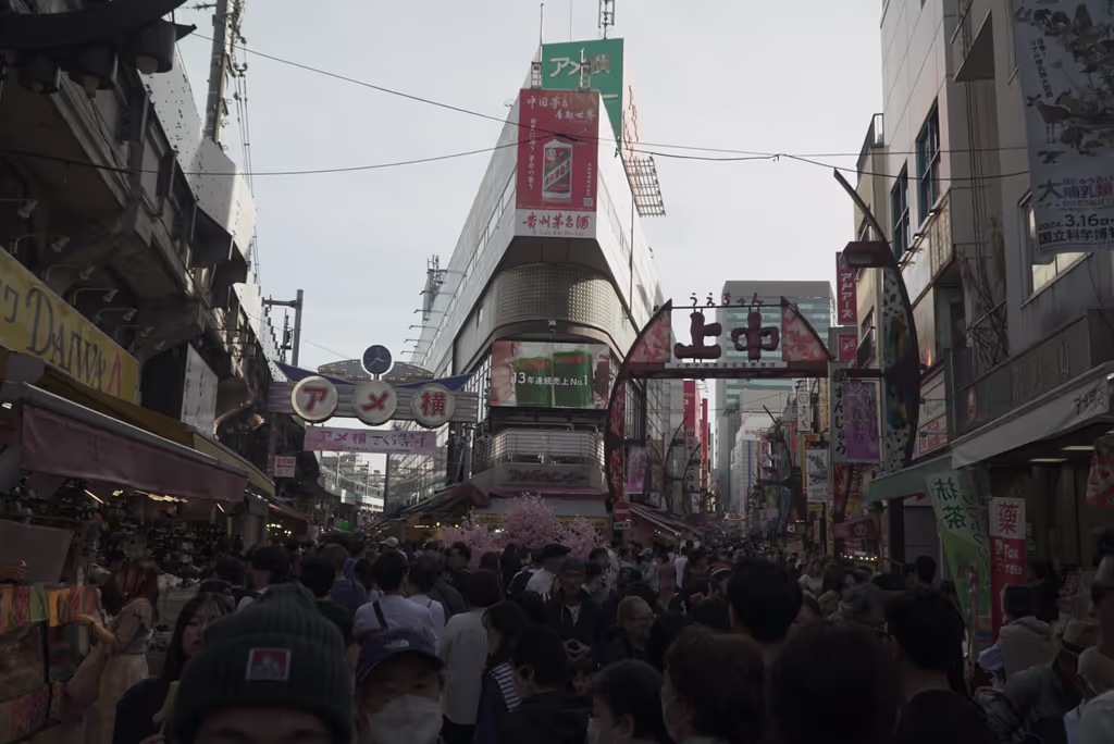 Tokyo Private Tour - 