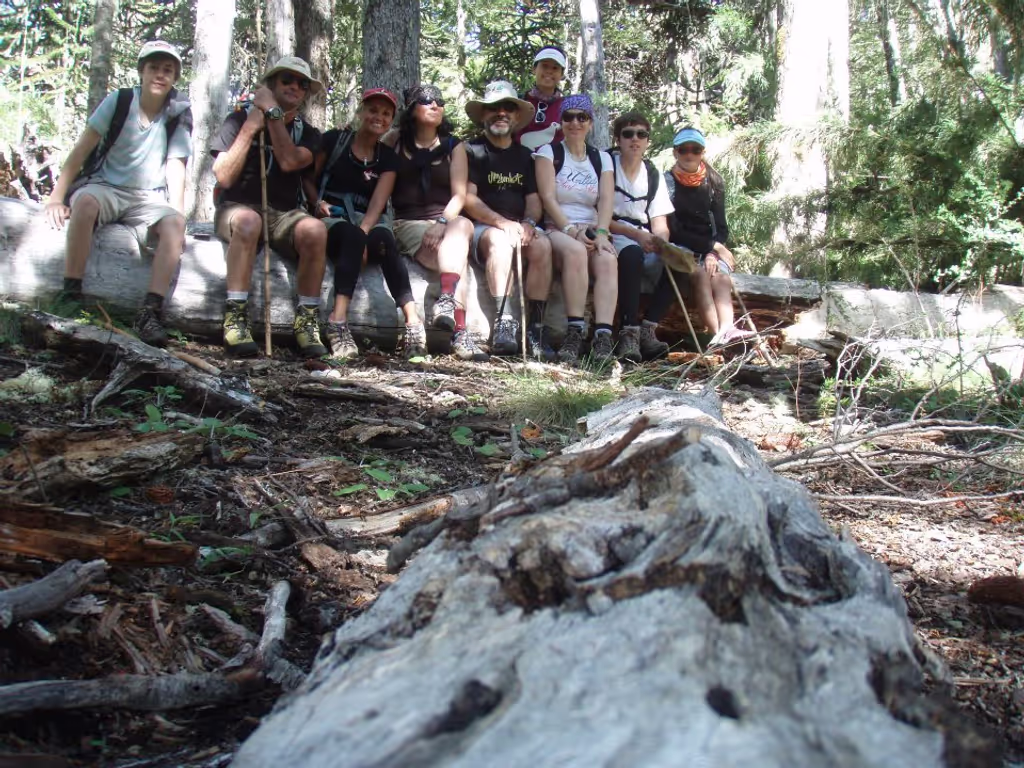 Araucania Private Tour - Trekking Araucaria Forest