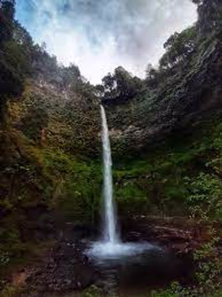 Araucania Private Tour - Claro Waterfall