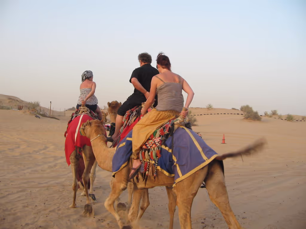 Western Cape Private Tour - Camel ride in Dubai