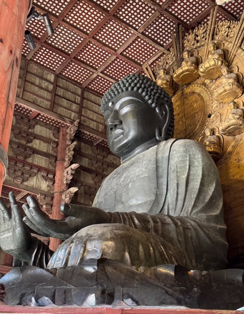 Shiga Private Tour - Nara's Big Buddha