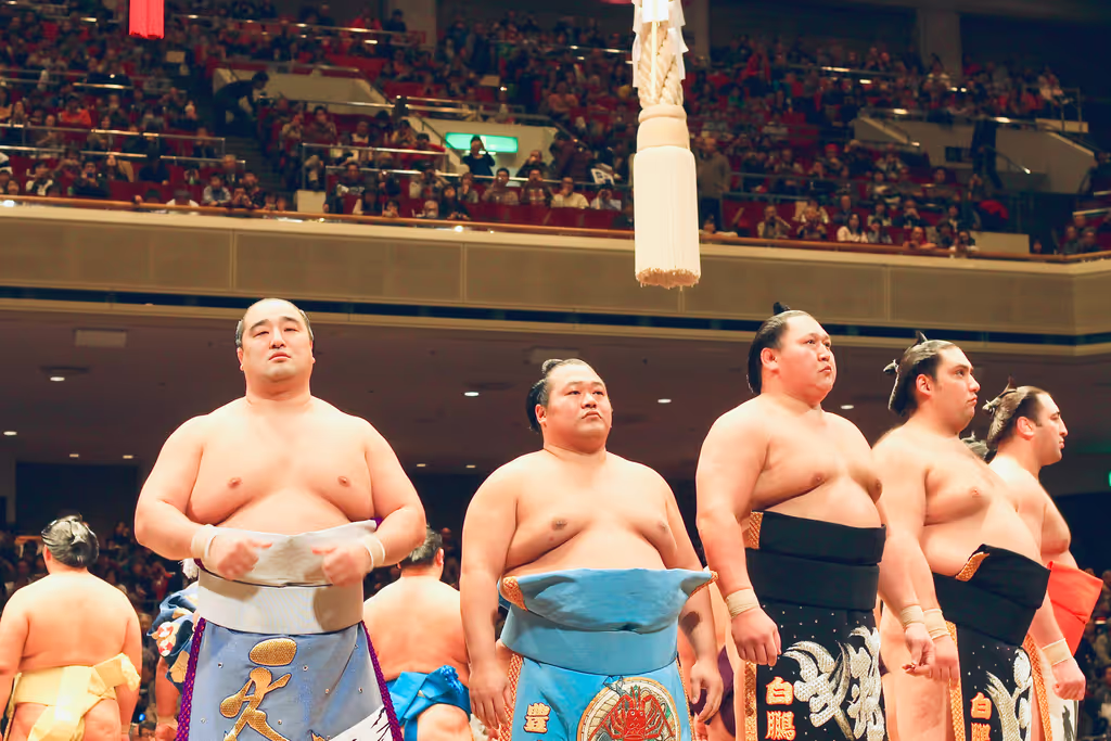 Tokyo Private Tour - SUMO