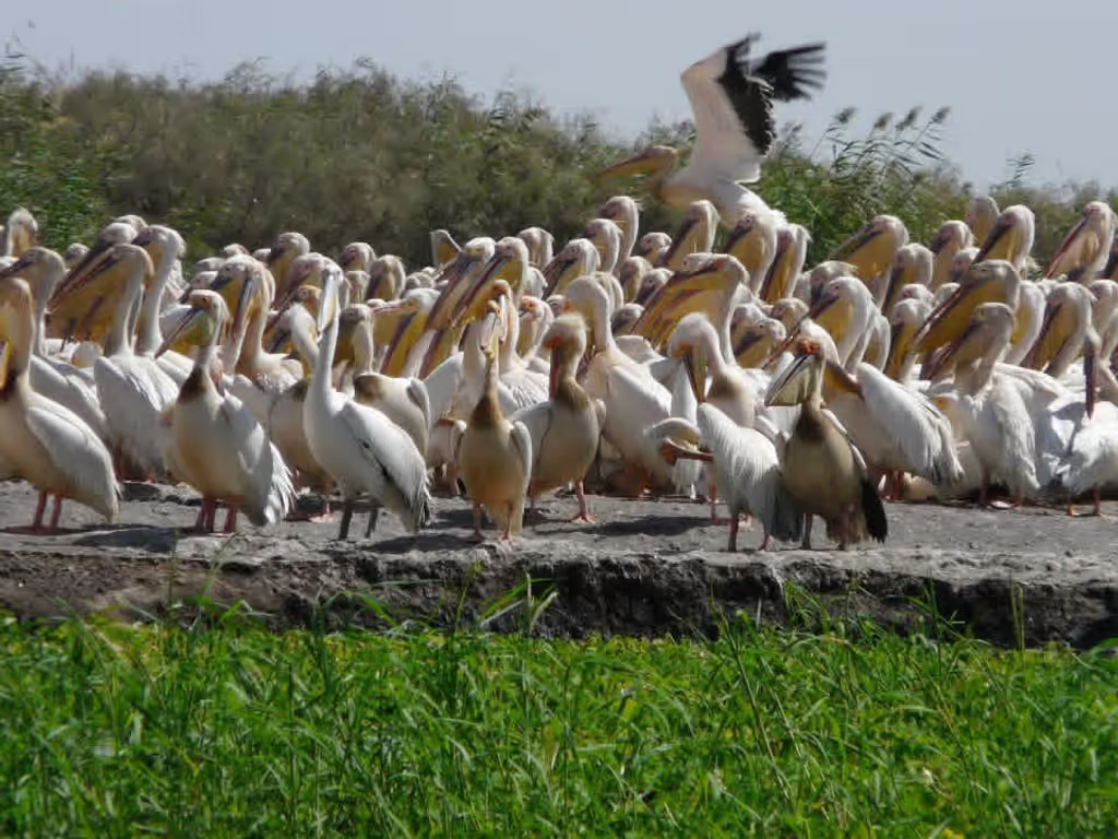 Dakar Private Tour - 