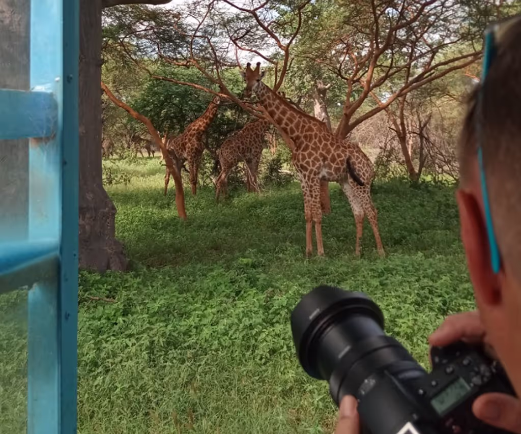 Dakar Private Tour - Safari Game Drive 